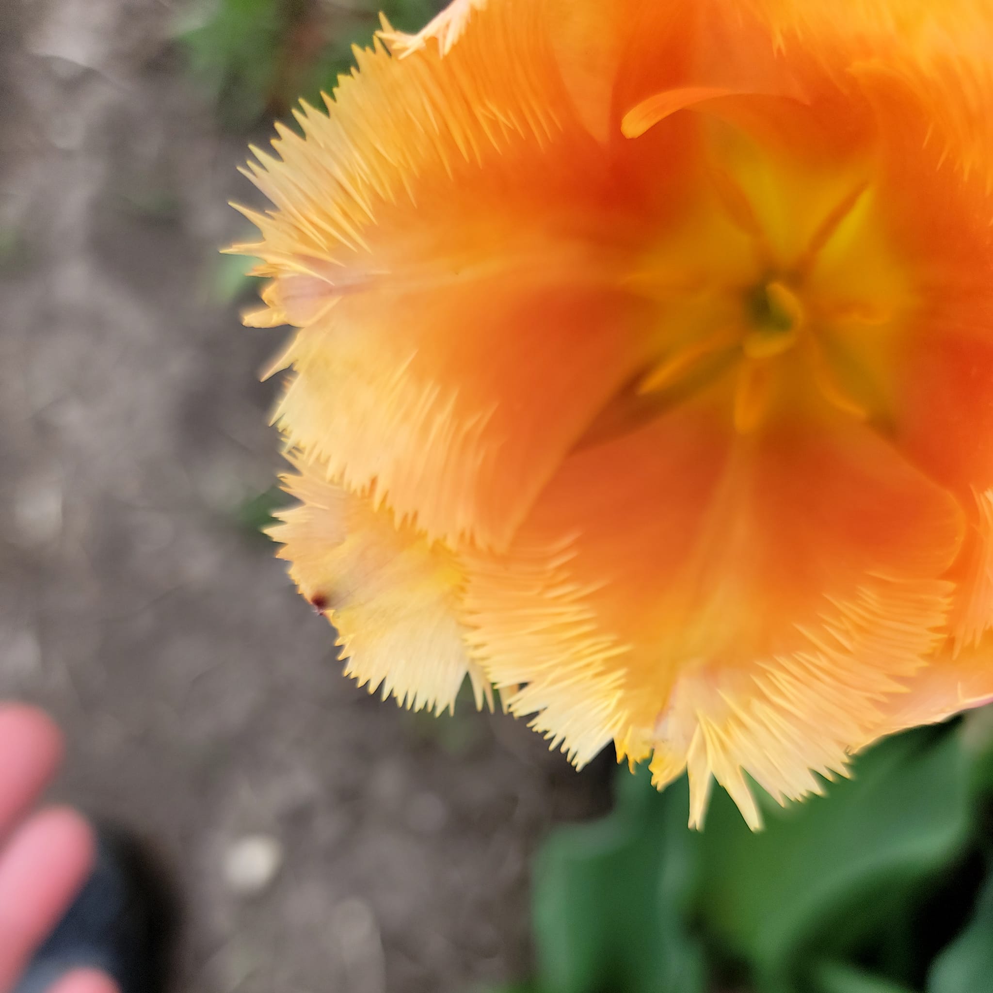 picture of the owners