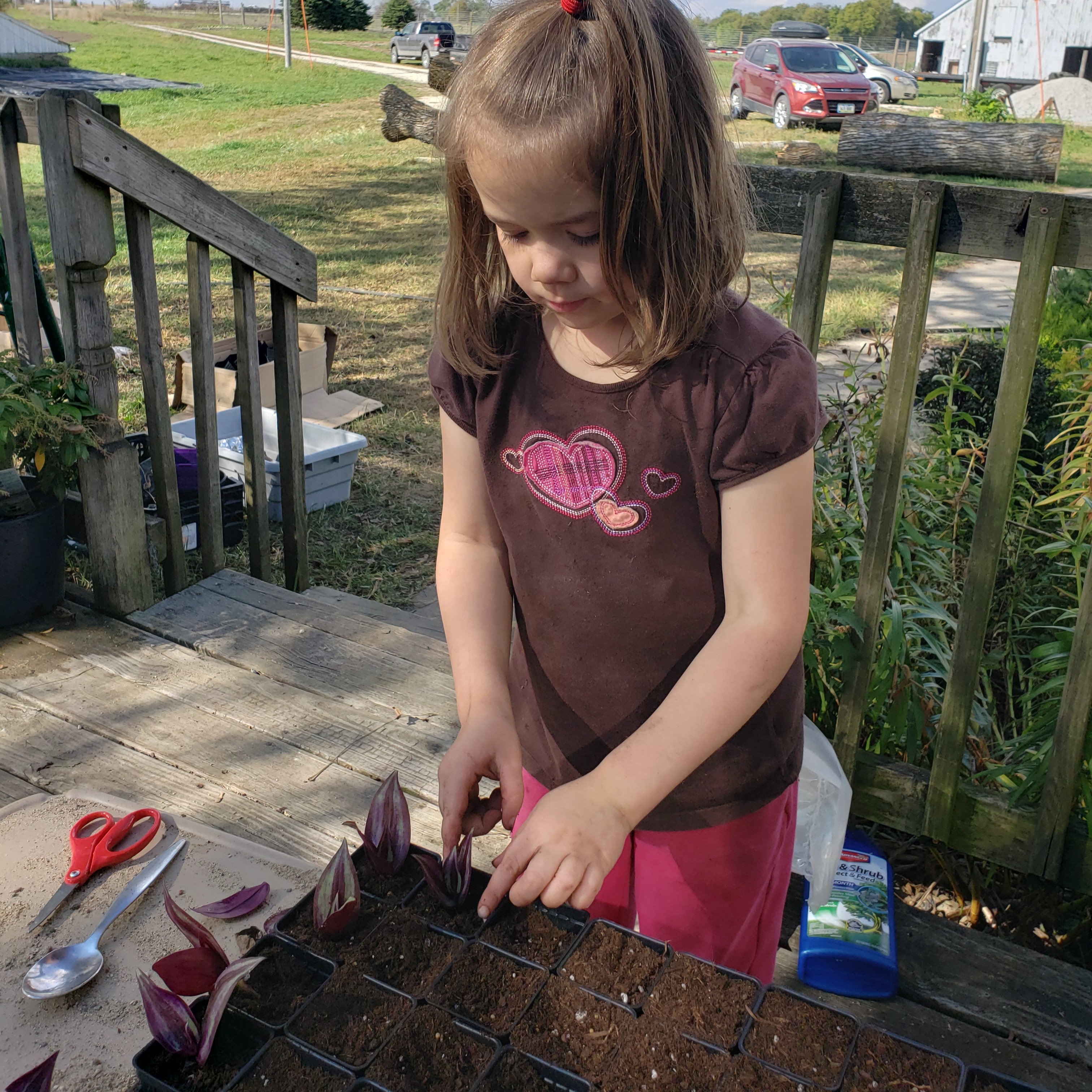 picture of the owners